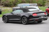 Certified 2023 Ford Mustang Premium image 2