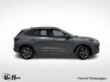 Used 2024 Ford Escape ST-Line w/ Tech Pack #1 image 2