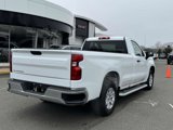 Used 2024 Chevrolet Silverado 1500 W/T w/ WT Fleet Convenience Package image 5