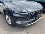 Used 2020 Ford Escape SE image 4