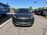 Used 2020 Ford Escape SE image 2