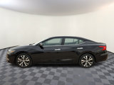 Used 2018 Nissan Maxima Platinum image 2