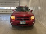 Used 2008 Ford Escape Limited image 4