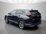 Used 2020 Honda CR-V EX-L image 4