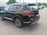 Used 2022 Hyundai Santa Fe SEL Convenience image 3