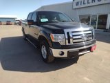 Used 2012 Ford F150 XLT w/ XLT Convenience Pkg image 4