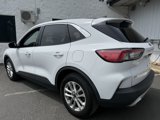 Used 2020 Ford Escape SE image 3
