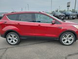 Used 2019 Ford Escape Titanium image 3