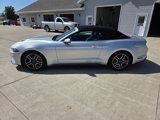 Used 2018 Ford Mustang Premium w/ Equipment Group 201A image 4