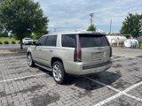 Used 2017 Cadillac Escalade Luxury image 5