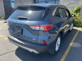 Used 2020 Ford Escape SE image 3