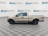 Used 2013 Ford F150 XLT w/ Luxury Equipment Group image 5