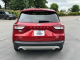 Used 2020 Ford Escape SEL image 4