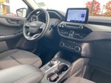Used 2023 Ford Escape Active image 3