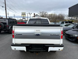 Used 2013 Ford F150 Platinum image 6