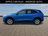 Used 2020 Ford Escape SE image 3
