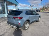 Used 2024 Ford Escape Active image 3