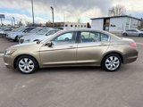 Used 2008 Honda Accord EX-L image 5
