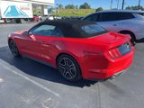 Used 2023 Ford Mustang Premium image 2