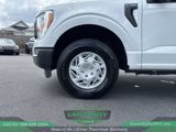 Used 2021 Ford F150 XL image 6