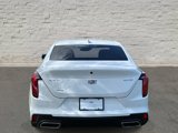 Used 2023 Cadillac CT4 Luxury w/ Sun And Sound Package image 4