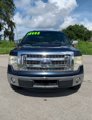 Used 2013 Ford F150 XLT w/ XLT Chrome Pkg image 4