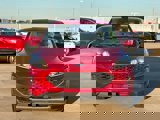 Used 2021 Ford Escape SE w/ Convenience Package image 4