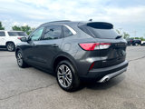 Used 2020 Ford Escape SEL image 4
