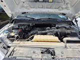Used 2019 Ford F150 XL w/ Equipment Group 101A Mid image 4