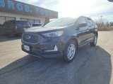 New 2024 Ford Edge SEL image 2