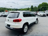 Used 2017 Volkswagen Tiguan Limited w/ Premium Package image 4