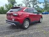 Used 2022 Ford Escape SE w/ Convenience Package image 5