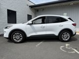 Used 2020 Ford Escape SE image 2