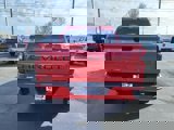 New 2024 Chevrolet Silverado 1500 Custom w/ Turbomax Blackout Package image 5