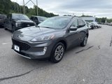 Certified 2022 Ford Escape SEL image 3