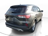 Used 2020 Ford Escape SE image 5
