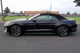 Certified 2022 Ford Mustang Premium image 4