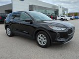 Used 2024 Ford Escape Active w/ Tech Pack #1 image 2