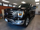 Certified 2021 Ford F150 XLT w/ Equipment Group 302A High image 2