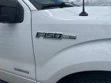 Used 2014 Ford F150 XLT w/ Equipment Group 302A Luxury image 4