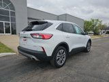 Used 2022 Ford Escape SEL image 5