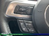 Used 2015 Ford Mustang Premium w/ Equipment Group 201A image 5