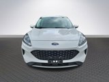 Used 2021 Ford Escape SE image 2