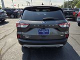 Used 2020 Ford Escape Titanium image 5