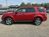 Used 2011 Ford Escape XLT w/ 201A Rapid Spec Order Code image 2
