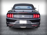 Used 2023 Ford Mustang Premium image 3