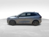 Used 2023 Ford Escape ST-Line image 2