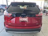 Used 2024 Ford Edge SEL image 5