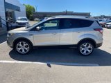 Used 2017 Ford Escape Titanium w/ Equipment Group 301A image 4