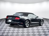 Used 2017 Ford Mustang Convertible w/ Equipment Group 051A image 3